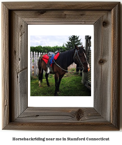 horseback riding near me in Stamford, Connecticut